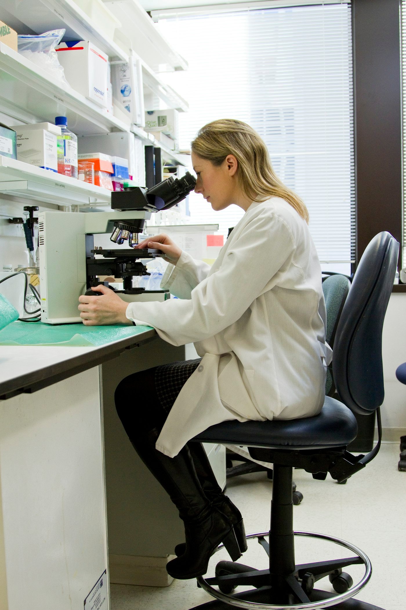 Scientist working at a microscope in the laboratory