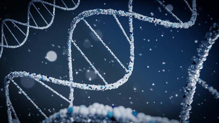 DNA helix